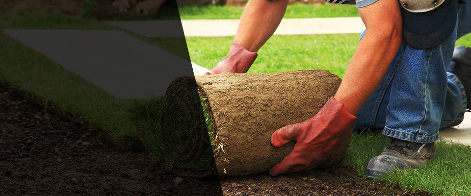 Remer Landscapers
